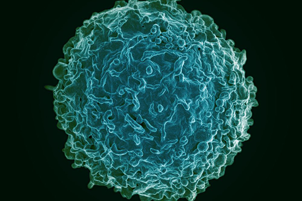 The importance of immunisation and a message for everyone