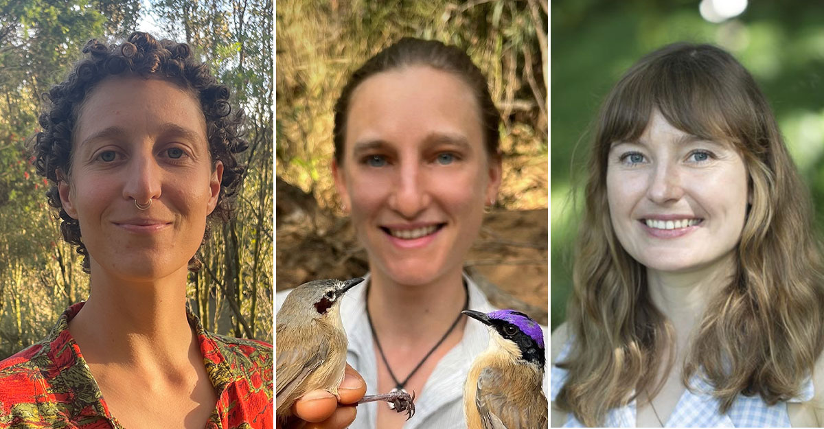 Margaret Middleton Fund recipients to protect fairywrens, mountain frogs and culturally significant species