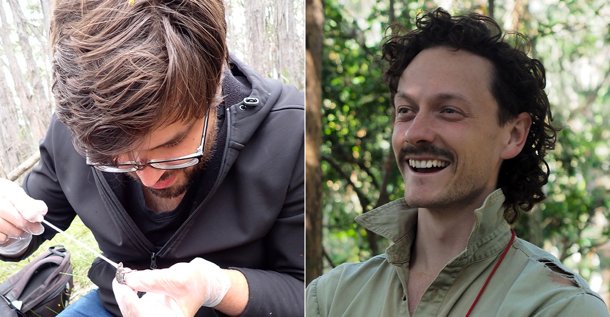 Using smell to disguise vulnerable plants, and protecting frogs from fire: 2023 Max Day awards 