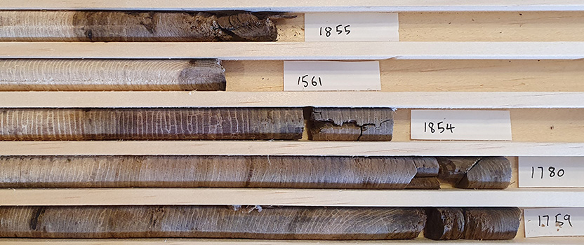 Mangroves help us understand droughts and floods, and the climate-altering chemistry of kelp: Thomas Davies 2020 awardees