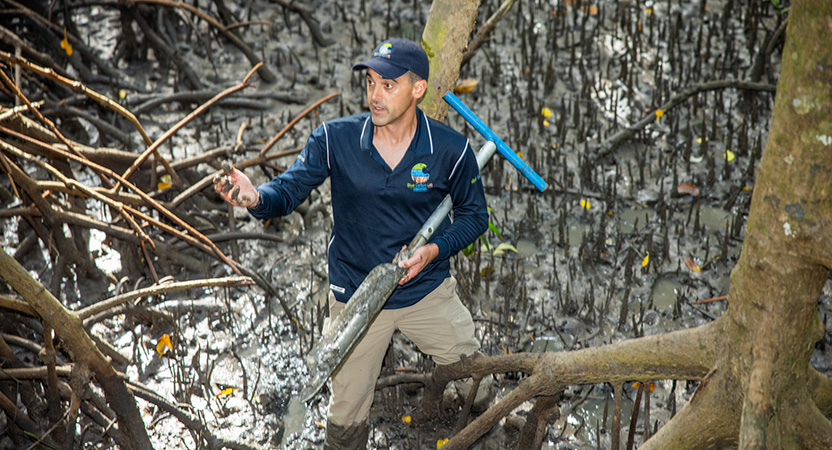 ‘Blue carbon’ expert to represent Australia in international prize