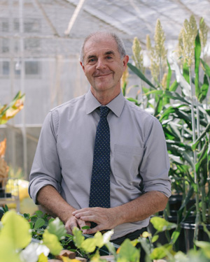 Two Academy Fellows elected to Royal Society