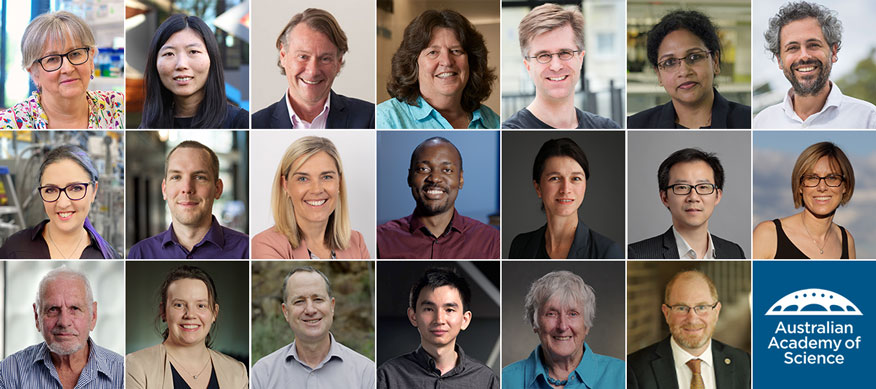 Australian scientists’ leading research recognised with Academy awards