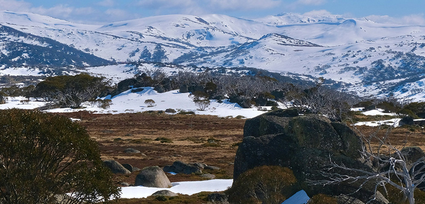 A huge win for evidence-informed decision-making and the environment