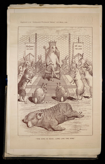 Adrien Loir, Louis Pasteur and the Australasian rabbit plague 