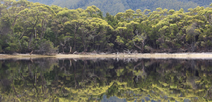 Maths and photography combine in the 2020 scienceXart schools competition