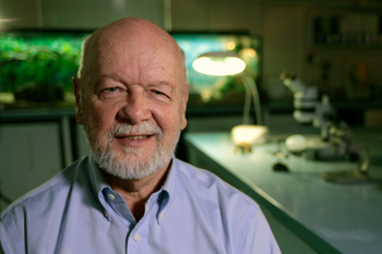 Fellows’ research projects feature in ARC funding