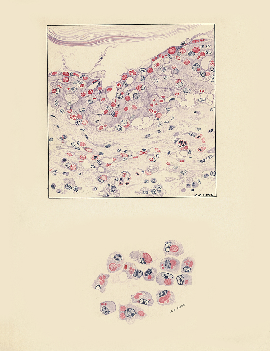 Academy manuscript collection of ‘immense research significance’