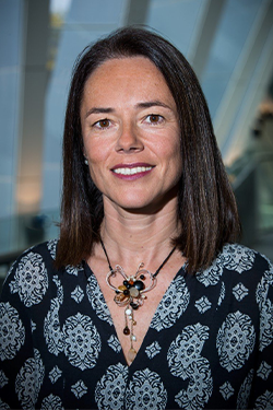 Outstanding Academy Fellows elected to Royal Society