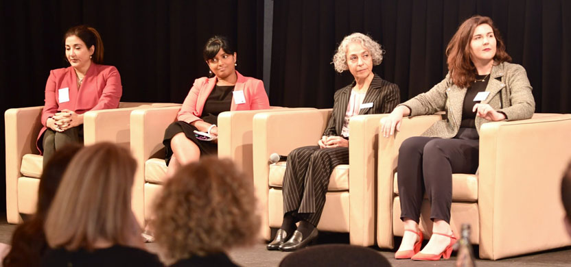 Pathways to Equity in STEM—first implementation step for the Women in STEM Decadal Plan 