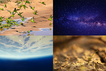 Heatwave mitigation and deep space research: funding awarded to research conferences -thumbnail