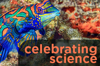 Celebrating science-thumbnail