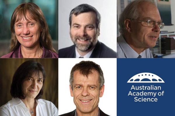 ARC Linkage grants awarded to Fellows