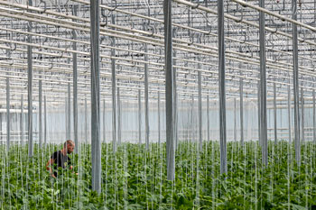 New areas of research must be explored to achieve negative emissions-thumbnail