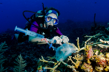 Marine researchers receive Max Day Awards-thumbnail