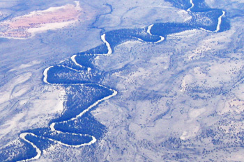 Academy to provide science advice on fish kill-thumbnail