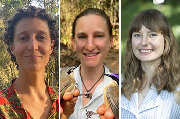 Margaret Middleton Fund recipients to protect fairywrens, mountain frogs and culturally significant species-thumbnail