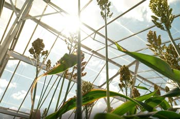 Academy shines a spotlight on new Australian science with Research Focus video series-thumbnail