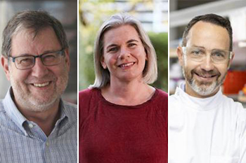 Can Australia build a world-leading RNA science-based biotech industry?-thumbnail