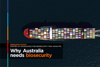 Fire ants, stink bugs and varroa mite: Australian biosecurity explained in new video series -thumbnail