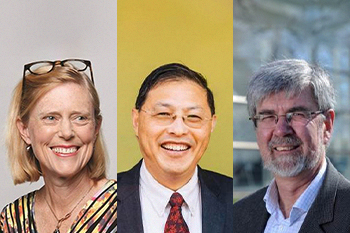 Fellows receive international awards and NHMRC grant-thumbnail