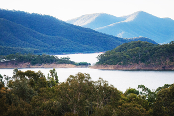 Improvements in emissions reduction and removal in Australia welcomed-thumbnail