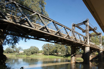 Academy welcomes independent assessment of fish deaths-thumbnail