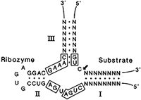 Robert Henry Symons 1934–2006