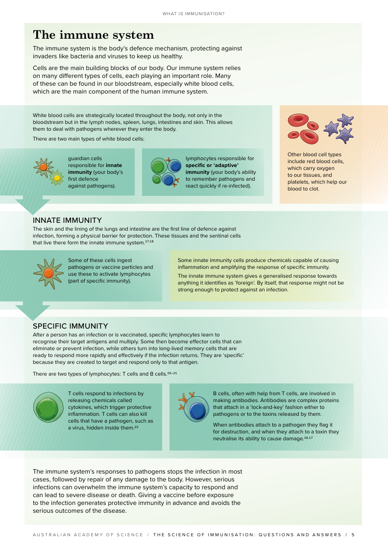 Screenshot of a booklet on the immune system