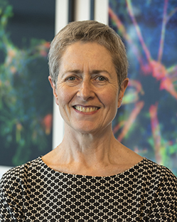 professor anne kelso australian academy of science
