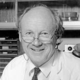 David Curtis