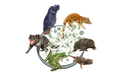 A logo with a Tassie devil, black cockatoo, quoll, echidna, lizard and frog