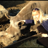 Marlys Houck crouched patting a rhinoceros 