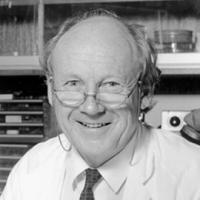 David Curtis