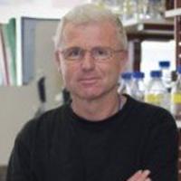 Andreas Strasser