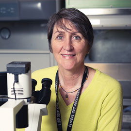 Associate Professor Jill Carr