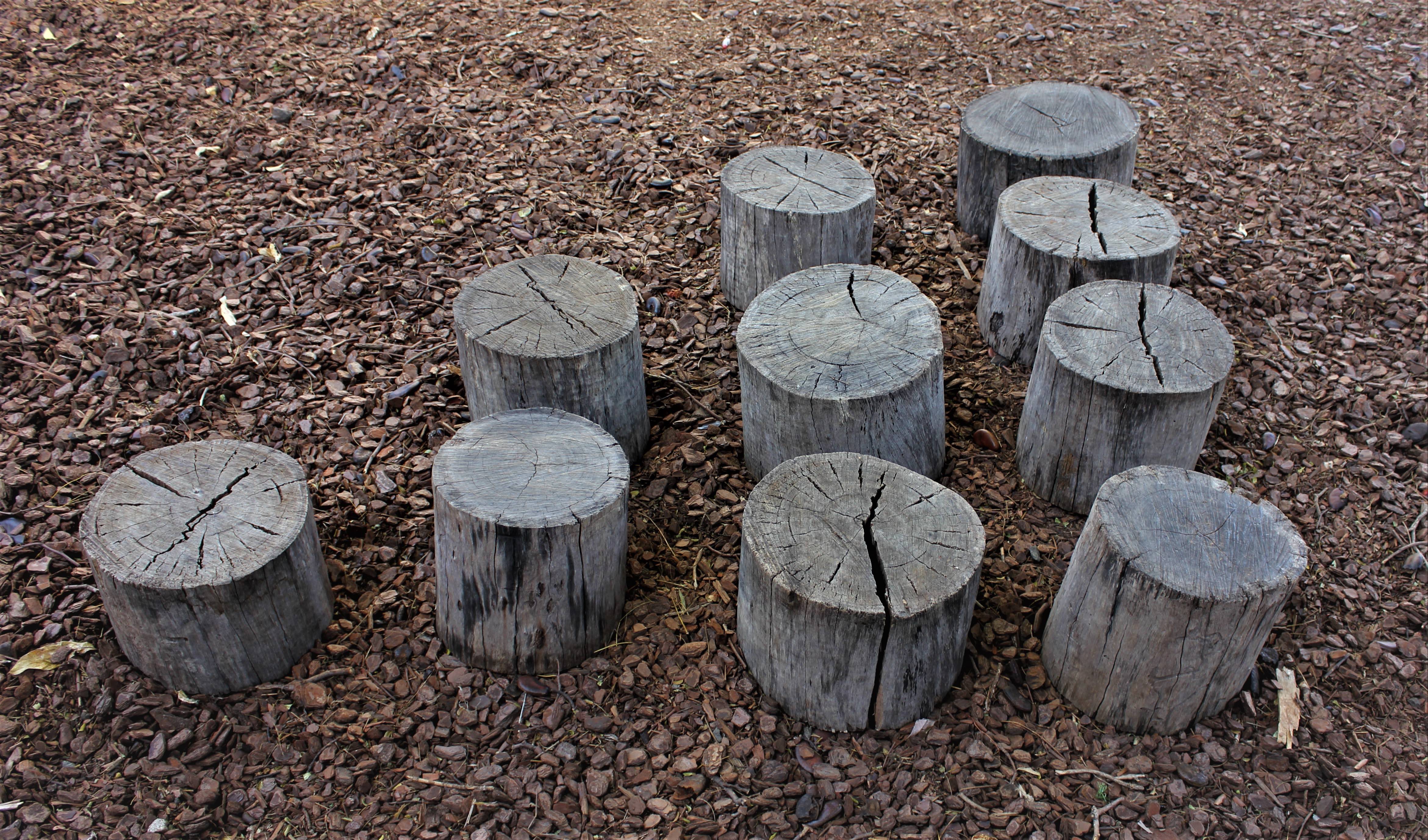 Name: Matilda and Kate. Prize: Shortlist. Pascal’s triangle: the group of logs creates the illusion of a pascal’s triangle. This is seen within an ordinary playground.